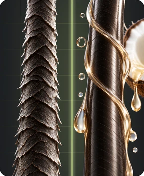Cocos Nucifera (Coconut) Oil